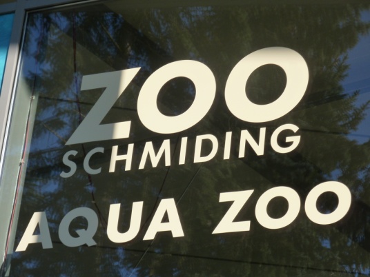 Zoo 