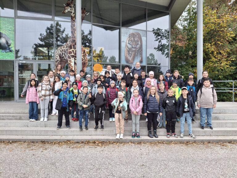 Zu Besuch bei Giraffe, Nashorn und Co