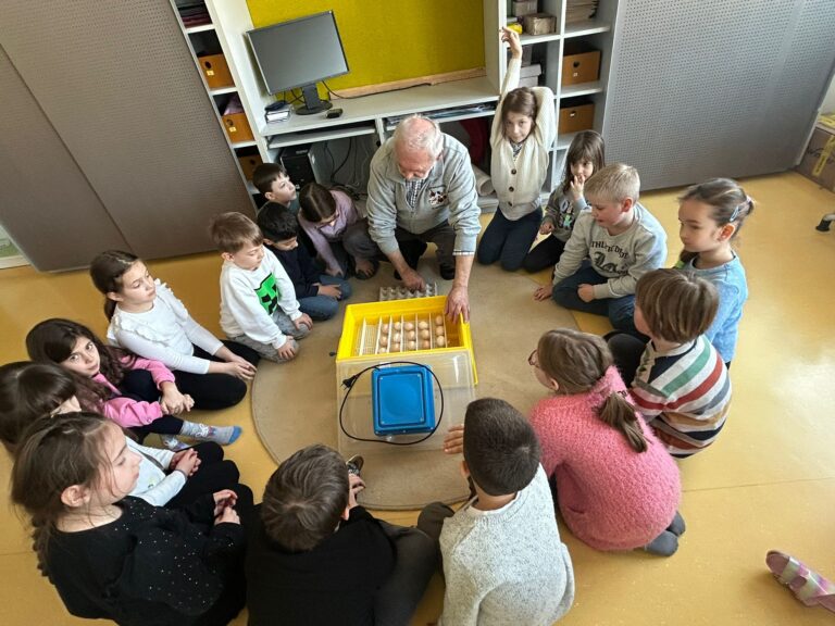 Nachwuchs in der 1. Klasse