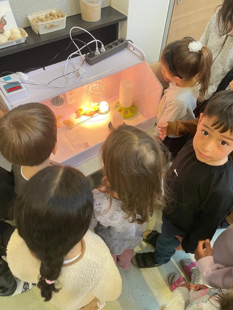 Nachwuchs in den 1. Klassen!