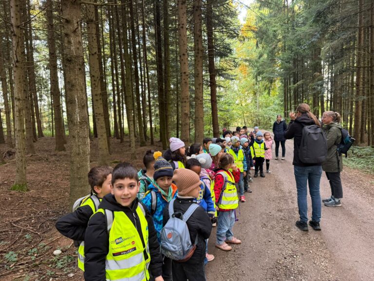 Herbstwanderungen